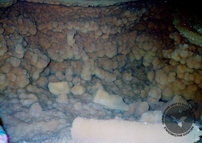 Fotografia