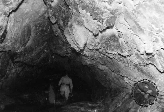 Fotografia