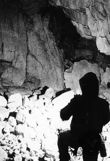 Fotografia