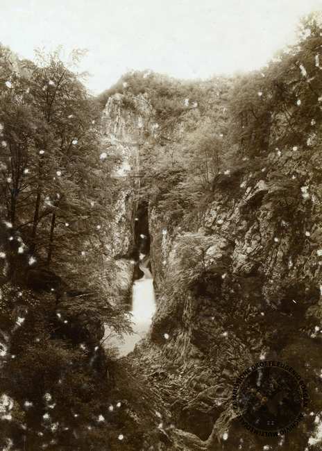 Fotografia