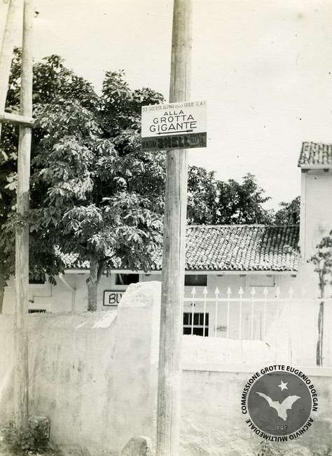 Fotografia