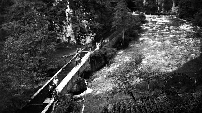 Fotografia