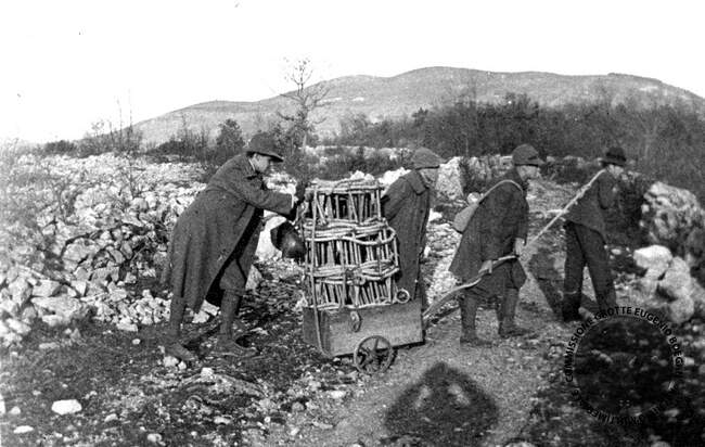 Fotografia