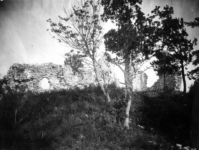 Fotografia