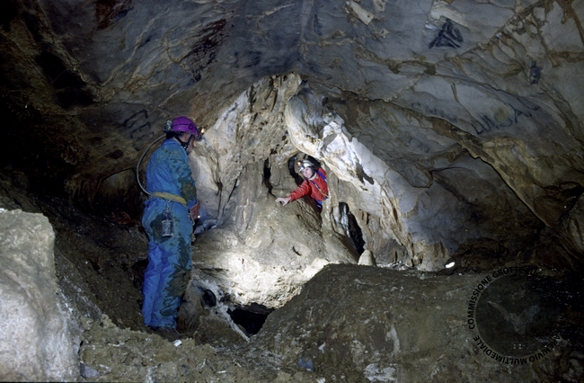 Fotografia