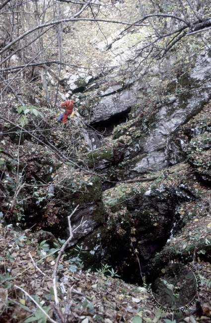 Fotografia